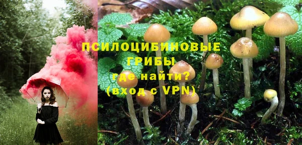 первитин Лихославль