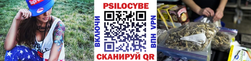 где купить наркоту  Ишим  Галлюциногенные грибы Psilocybe 
