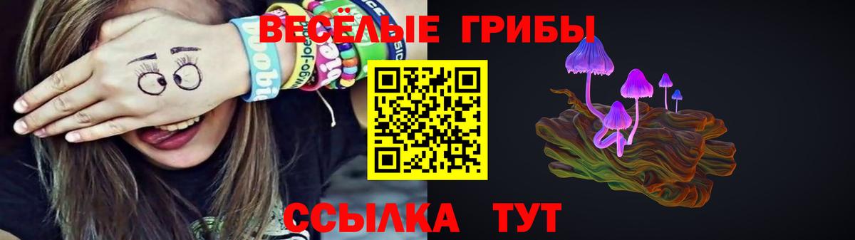 Псилоцибиновые грибы Psilocybe  Псилоцибиновые грибы мухоморы  Ишим  Вход с VPN 